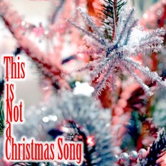 This Is Not A Christmas Song