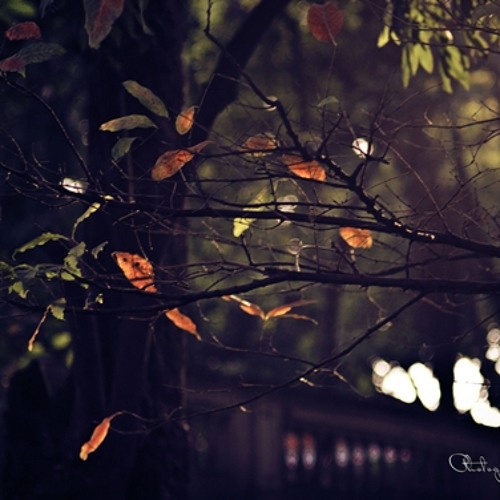 Chuyện của mùa đông - Lucious