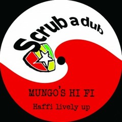 Mungo's Hi Fi - Haffi Lively Up
