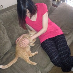 the_windows_sound.wav