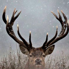 Andrew Chorniy - Jingle Bells (FREE DOWNLOAD)