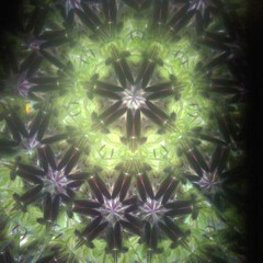 Self-hypnosis and levitation