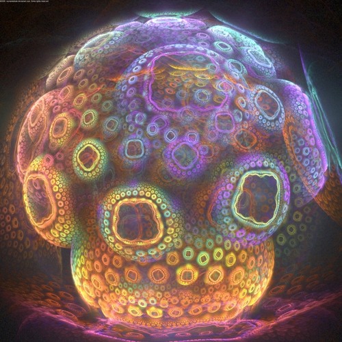 psy
