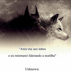 Rotina De Marombeiro