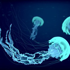Dance of the Jellyfish (Vocal mix)