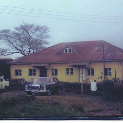 Straight From Mokunda via Matango House In Last-Town Buea.