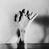 Cumbia Sobre el Mar - Quantic & Flowering Inferno