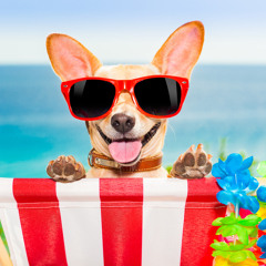 Happy Upbeat - Royalty Free Music