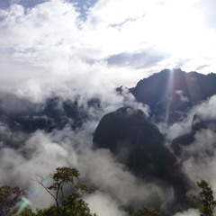 Winter Solstice Love