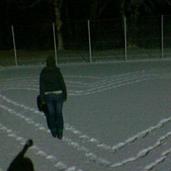 Winter Fields (Bat For Lashes Acoustic Cover)