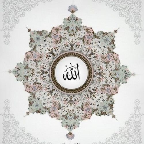 مُجِيب السَائِلين - نصر الدين طوبار