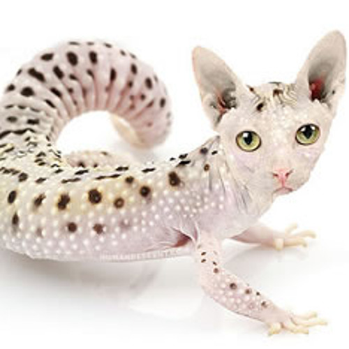 Sonorous By PowTron (DI Radio) - Dec 2014 - 12/26/14