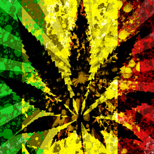 Canna - B's Trap #1