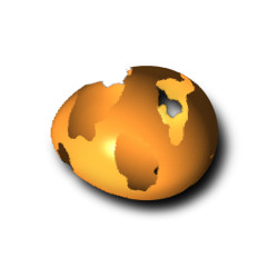 egg in shell