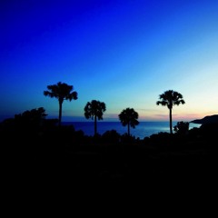 Caribbean Night (Free Download - ExtendedVersion)