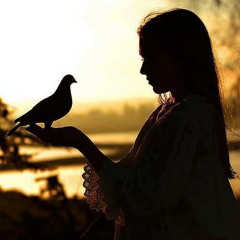 OST Digest Writer-PakiUM.Com