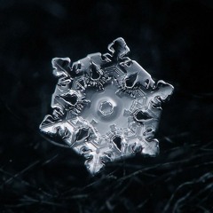 A Snowflake's Path (Radio 4 Xmas)