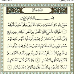 الشيخ محمد عبد الكريم سورة الحشر