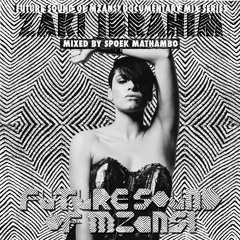 Future Sound of Mzansi Documentary Series