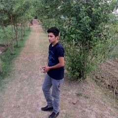 Tere bin