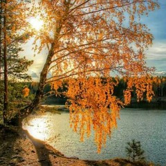 فى عام الحزن_وائل جسار