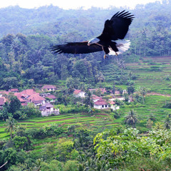 Tiada Lagi _ Charles Hutagalung