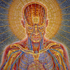 KeepZee Head'up - 145 BPM SET Psyprog