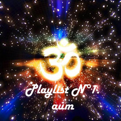 Playlist N°1 (Acid, Tek, Hardcore, Tribe, Psy, Goa,  ...)