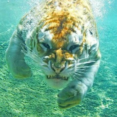 The Patient Tongue [DEMO]