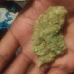 Dont chase bitches.mp3