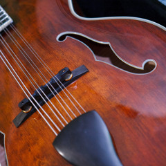 Eastmandocello - Tenpenny Bit and Cliffs of Moher