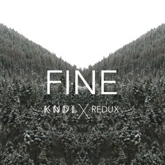 KNDL & Redux - Fine