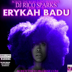 Jump In The Air And Stay There Ft Lil Wayne - Erykah Badu Tribute Album (DJ Rico Sparks)