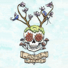 "The Story Of The Earth, So Far" by Julia Massey & the Five Finger Discount