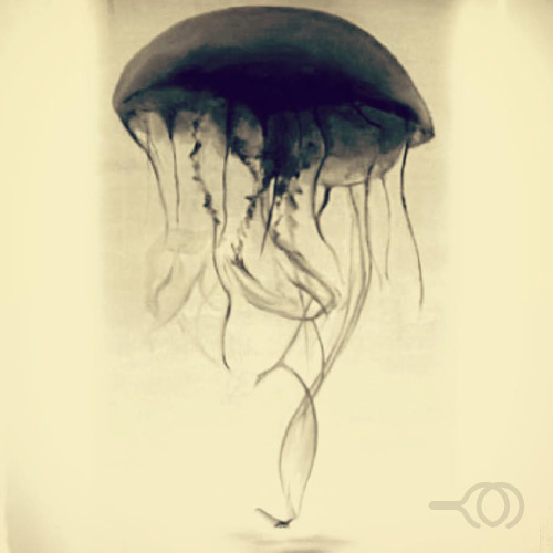 Jelly Smoke - Mix 01