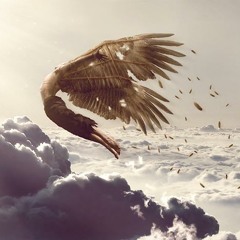 Shadowfinder - Icarus