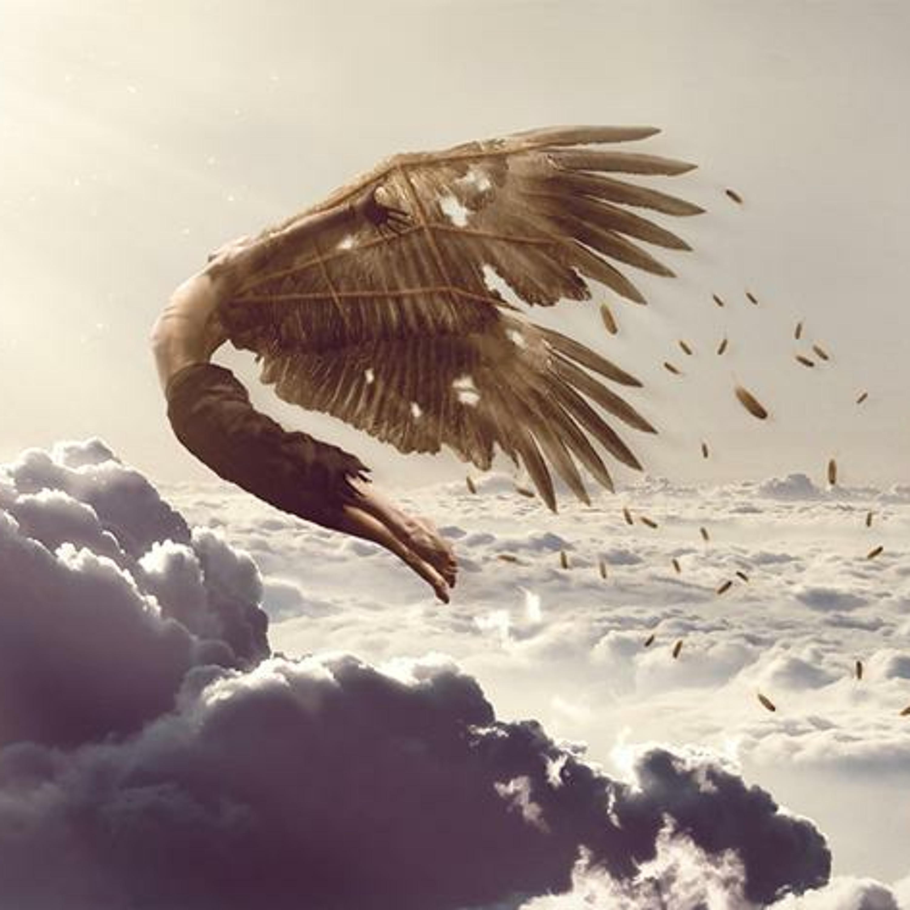 Shadowfinder - Icarus episode artwork