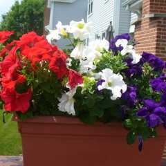 Sritri's Bhavageetegalu