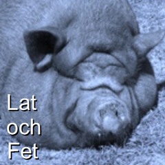 Lat och Fet