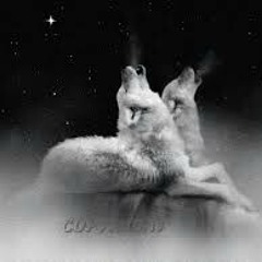 7 wolf sound at Wolf sound