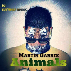 Martin Garrix - Animals ( Dj CutWolf )Mash'up