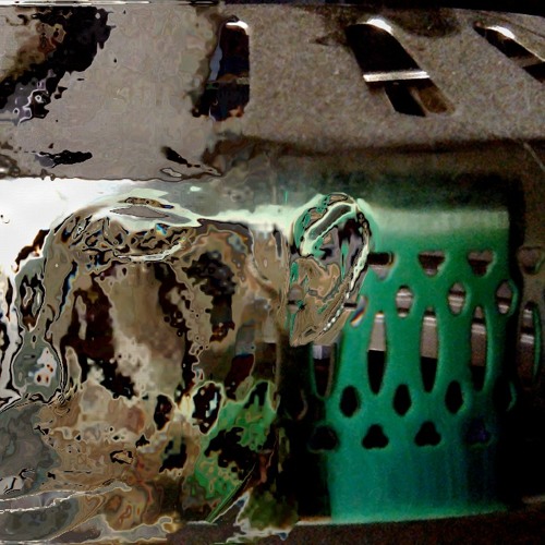 Karima The Composer - _ - About My Dragonbird Face[FreeToUse,StemsIncludedAtEnd,FlexibleAttribution]