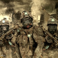 Animus Gorilla Warfare Experiment