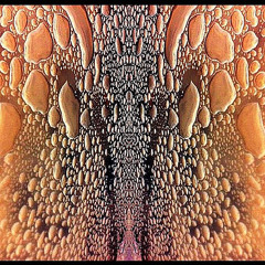 Sketches of Sound EGYPTIAN WORK FORCE