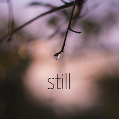 still (acoustic version)