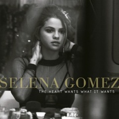 Selena Gomez - The Heart Wants What It Wants (DJ Kue Alternate Remix)