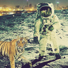 End Of The World Tracks