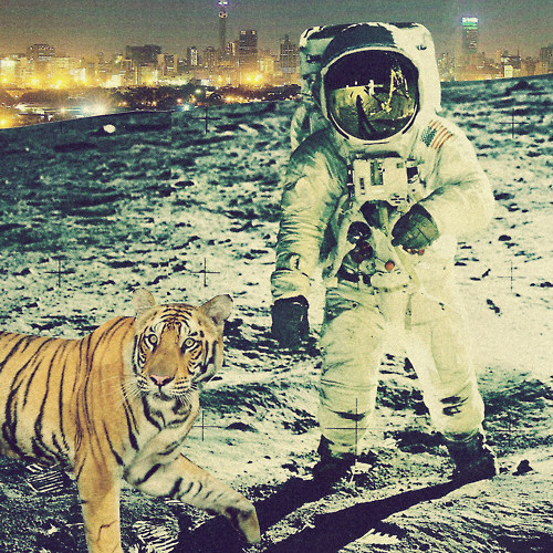 End Of The World Tracks