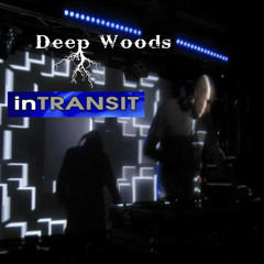 Deep Woods - inTransit - Live at Baby's All Right