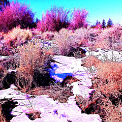 the wind torn mountain and shattered rocks, the earthquake, the fire, the sound of a gentle breeze.